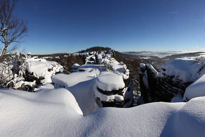 Bohemian Switzerland From Prague with Brewery Tour & Beer Tasting - Stop 5: Saxon Switzerland National Park, the Elbe canyon area