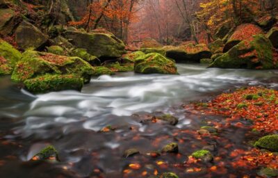 Bohemian Switzerland: Private Day Trip from Prague - Hřensko: the small-town reset before the hike
