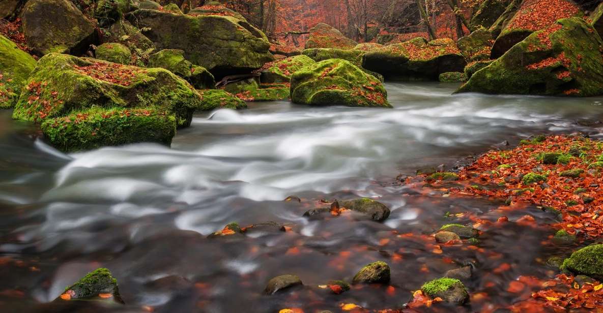 Bohemian Switzerland: Private Day Trip from Prague - Private transportation and guide support: why small beats big here