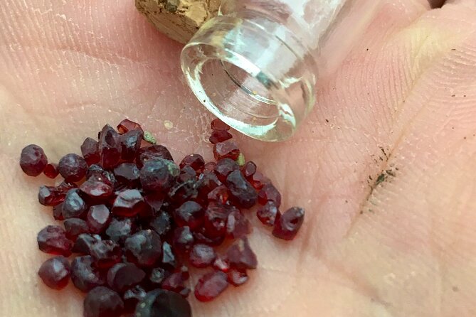 Cozy Winter Countryside Tour 4x4: Experience Authentic Bohemia - Gothic castle ruins, game reserve wildlife, and garnet panning