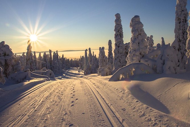 Cross-Country Skiing Guided Tour From Prague - Why Jizera Mountains beats a “ski day” that feels like a chore