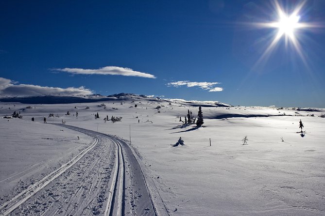 Cross-Country Skiing Guided Tour From Prague - Stop 2: Getting your skis in the Jizera Mountains (and learning before you go fast)