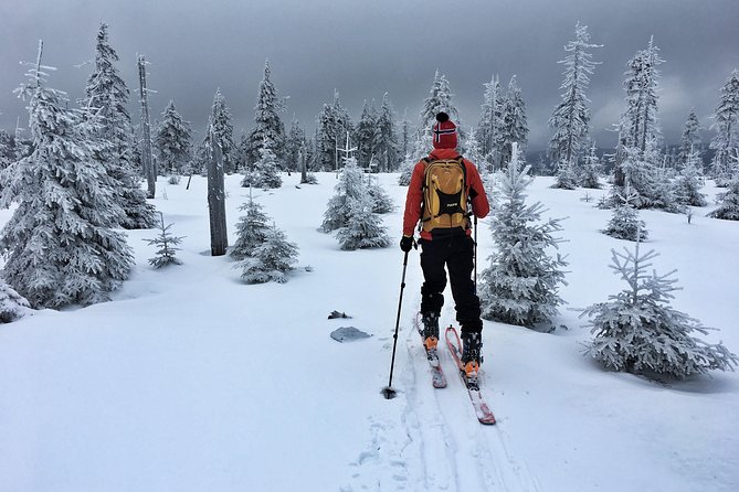 Cross-Country Skiing Guided Tour From Prague - What’s included (and why it matters on a snowy day)