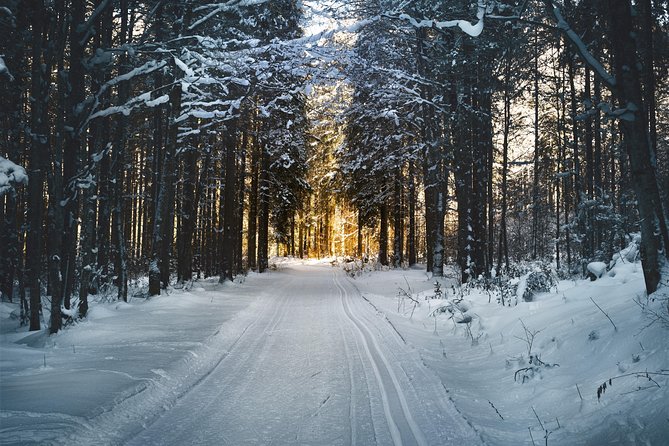 Cross-Country Skiing Guided Tour From Prague - A practical packing checklist so you feel comfortable