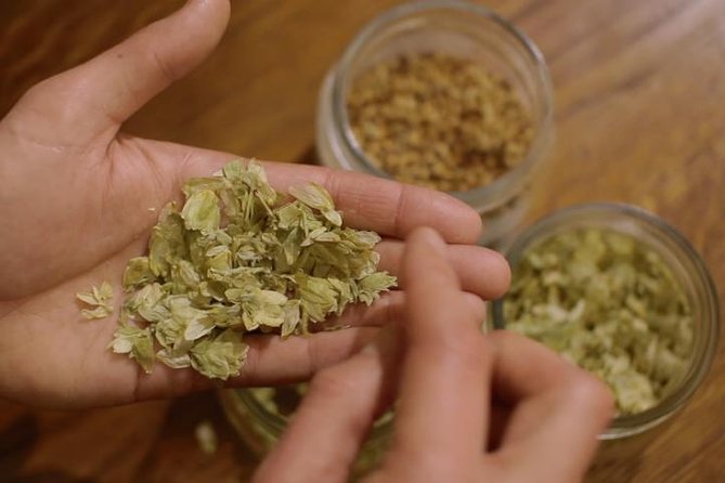 Czech Beer Tasting Experience - What you’ll learn from the beer master (and how to make it stick)