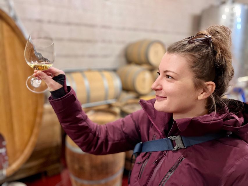Czech Vineyards and Wine Tasting 4WD Tour with Lunch - From Prague to Vine Rows: The 4x4 Advantage