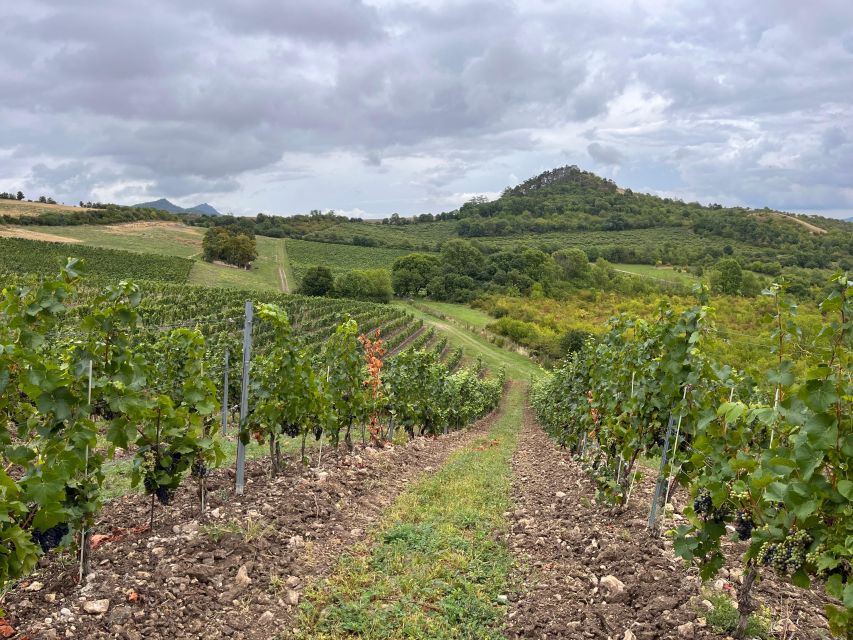 Czech Vineyards and Wine Tasting 4WD Tour with Lunch - Lunch in the Countryside: Unlimited Beer, Castle Views, and Czech Comfort Food