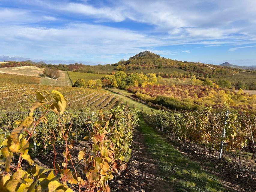 Czech Vineyards and Wine Tasting 4WD Tour with Lunch - The Sights Part: 5 Gothic Castles and a Jewish Cemetery Between Vines