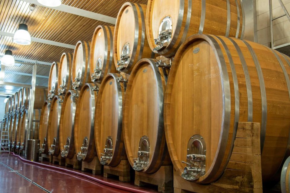 Czech Vineyards and Wine Tasting 4WD Tour with Lunch - How the Wine Logic Works: Soil, Variety, and a Guided Comparisons Mindset