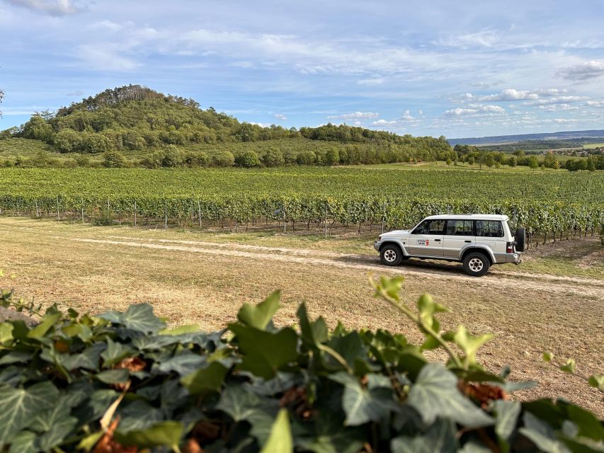 Czech Vineyards and Wine Tasting 4WD Tour with Lunch - Price and Value: Why $387 Can Make Sense for a Full Day