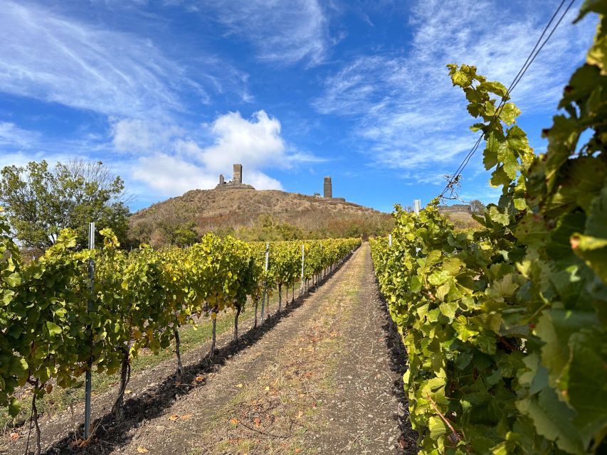 Czech Vineyards and Wine Tasting 4WD Tour with Lunch - Who This Tour Fits Best (and Who Might Feel Off)