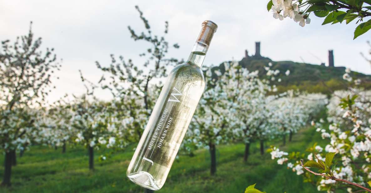 Czech Vineyards and Wine Tasting 4WD Tour with Lunch - Why Třebívlice Wine Country Feels Different (1057 Matters)