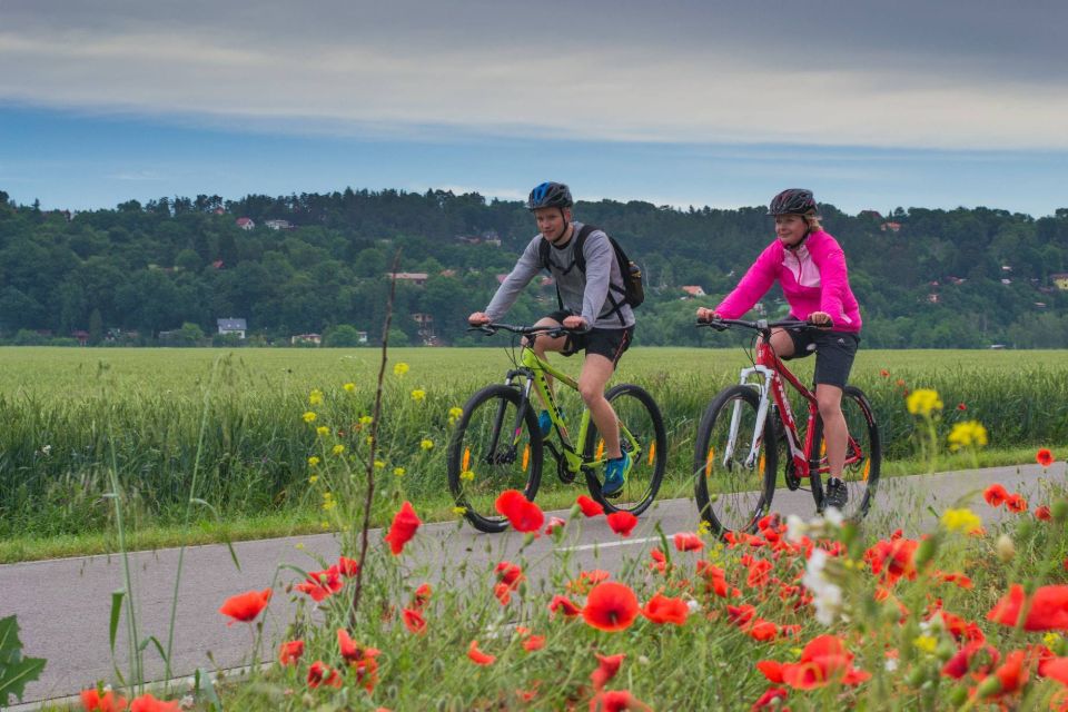 E-Bike Day Trip: Visit a Roman Castle and Taste Craft Beer - Key Takeaways Before You Ride