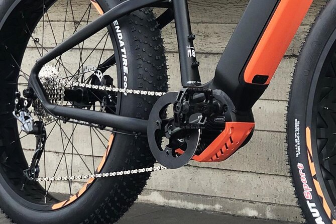 FAT TIRE E-BIKE GREAT TOUR - river, parks & panoramic views tour - Royal Gardens, Prague Castle Gate, and the “Story Stops” That Click