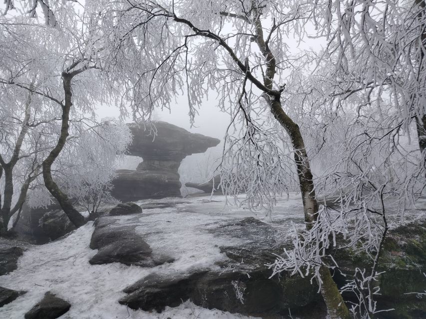 From Prague: Bohemian & Saxon Switzerland Iconic Day Trip - Tisá Rocks: Where the Trail Feels More Like Hiking