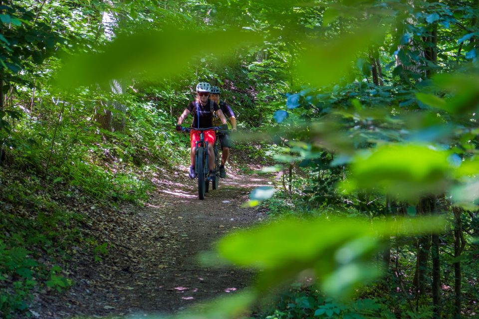 From Prague: E-Mountain Biking Trip to the Bohemian Paradise - Nebakov lakeside lunch after the day’s first fast downhill