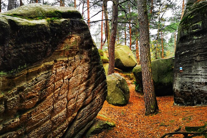 Full-Day Hiking in Bohemian Paradise Malá Skála near Prague - Stop 2: Zbirohy Castle ruins and what’s actually preserved