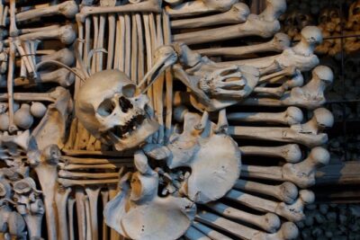 Half-Day Trip to Kutna Hora+Bone Church and Free Time from Prague - The minivan ride: fast, central, and easier on your feet