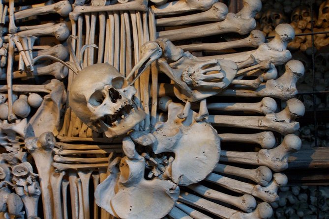 Half-Day Trip to Kutna Hora+Bone Church and Free Time from Prague - The minivan ride: fast, central, and easier on your feet