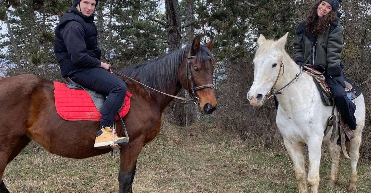 Horseback riding tour near Prague - Beginners welcome, but the lead-rope safety rules are real