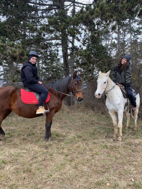 Horseback riding tour near Prague - Getting there from Prague: budget-smart transport beats stress