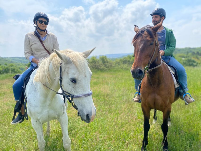 Horseback riding tour near Prague - Price and value: why $92 can make sense here