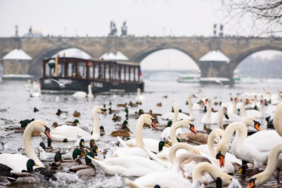Prague: 1.5-Hour River Boat Cruise and Guided Tour - Key things to know before you go