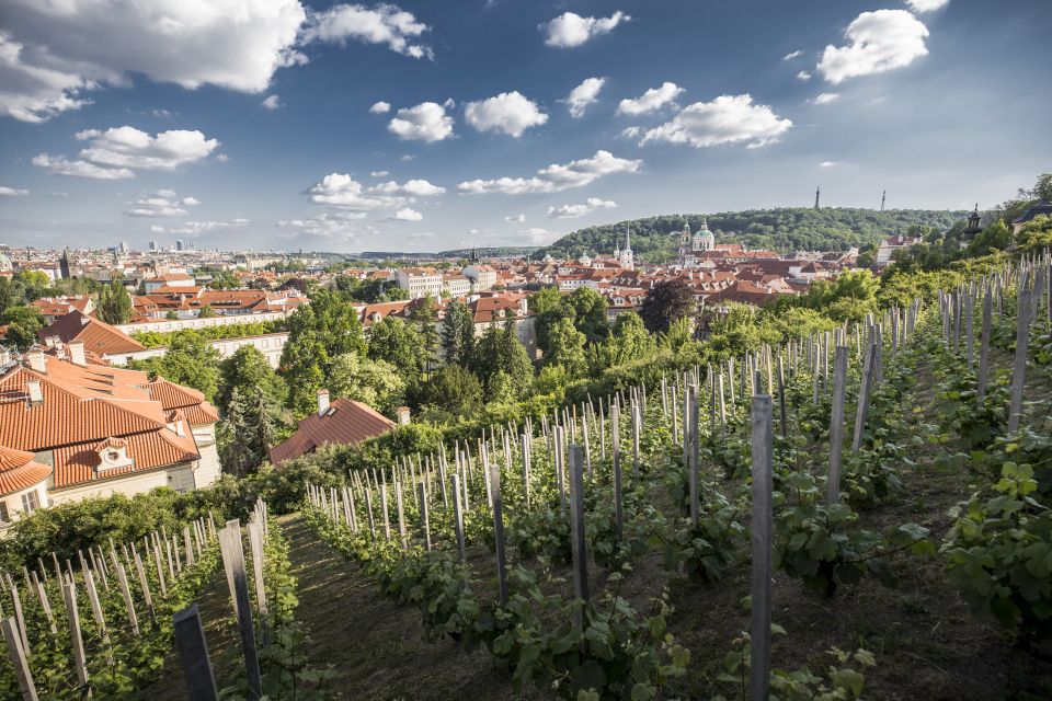 Prague: 3–Hour Castle Grounds Walking Tour and River Cruise - Devil’s Stream to Charles Bridge Museum: understand what you’re seeing