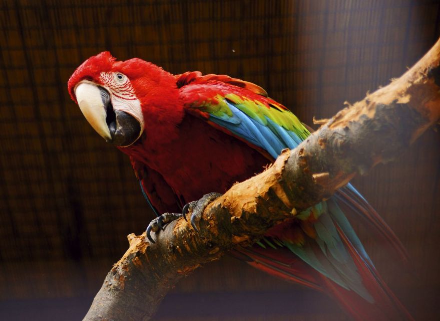 Prague: Boat Ride to the Zoo and Admission Ticket - Gorilla Pavilion and Elephant Valley: plan for slower moments