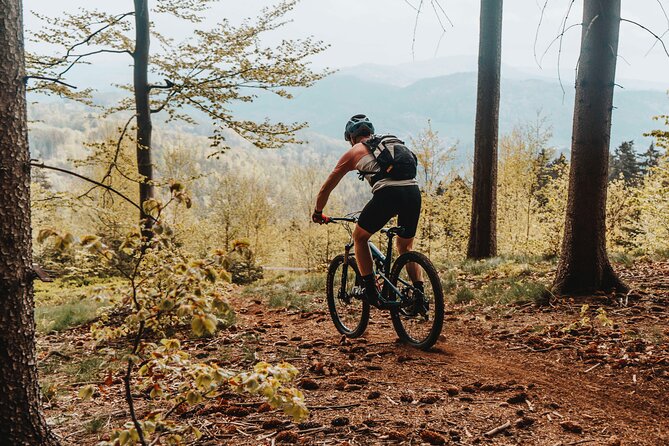 Prague E-Mountain Biking Adventure In The Bohemian Paradise - Lunch at the hunting-lodge style stop: a real break, not a token snack
