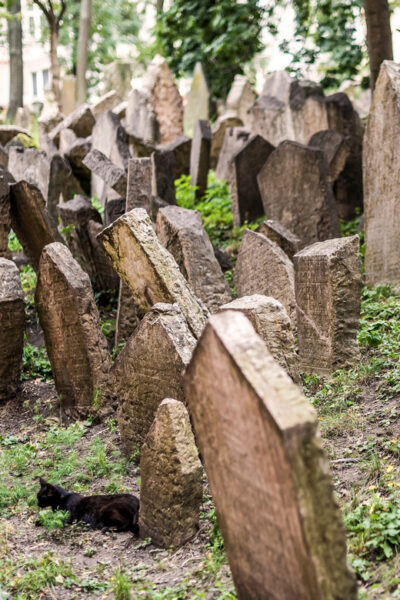 Prague: Jewish Quarter Walking Tour with Admission Tickets - Where you meet your guide (and how to not waste time)