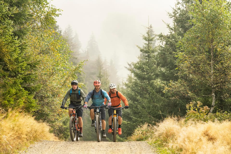 Prague Mountain Biking: Blast Through The Best Singletracks - Choosing difficulty: from easier climbs to “gnarly” trails
