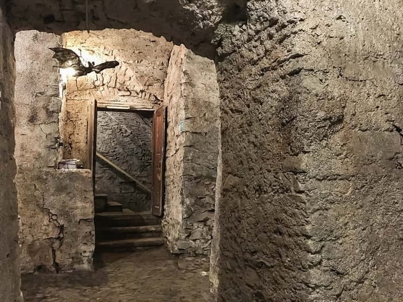 Prague: Oldtown, Medieval Underground & Dungeon History Tour - Price and value for an 80-minute underground circuit