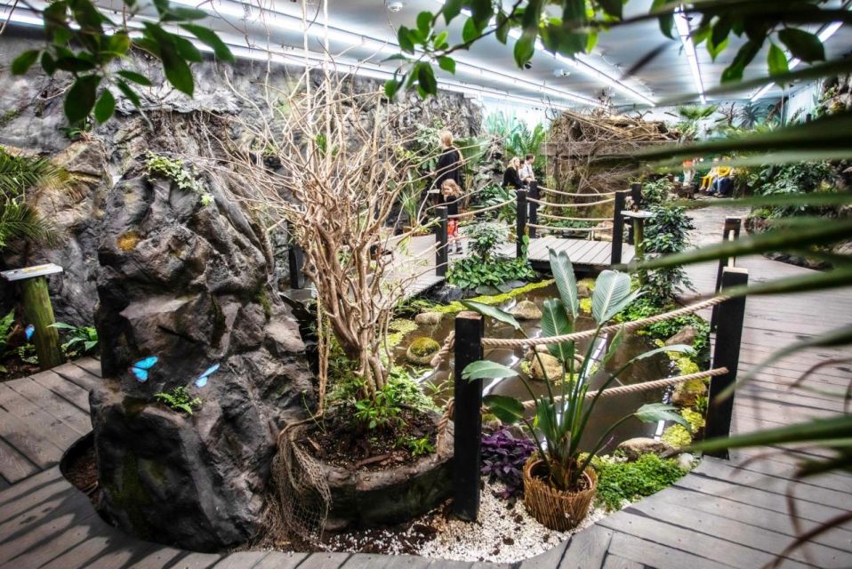 Prague: Papilonia Butterfly House - Should you book Papilonia Butterfly House Prague?