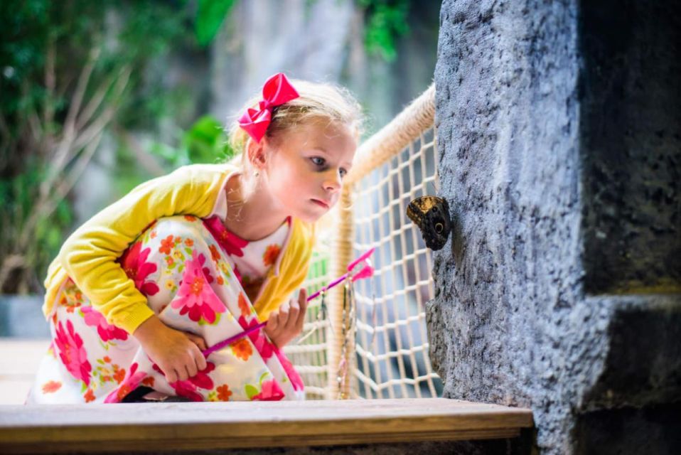 Prague: Papilonia Butterfly House - Who should go (and who might want to think twice)