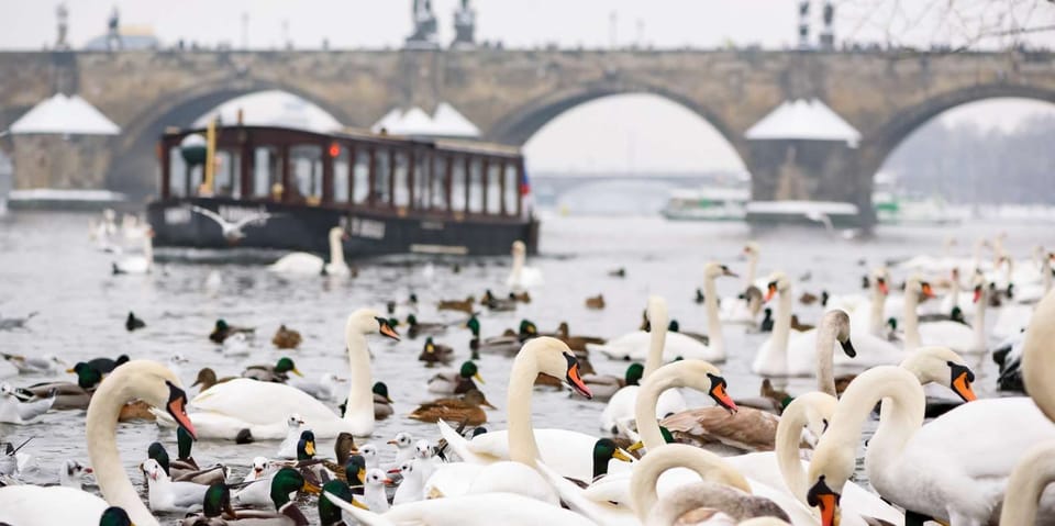 Prague: River Cruise, Charles Bridge Museum, & Walking Tour - The 45-minute walking tour: Charles Bridge, Lennon Wall, and Lesser Town stories