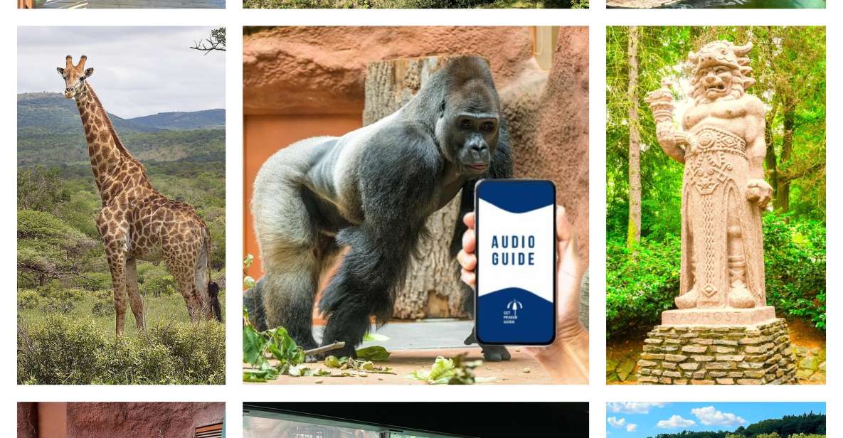Prague Zoo Online Audio Guide (No ticket) - The zoo experience layer: history and pavilion stories as you walk