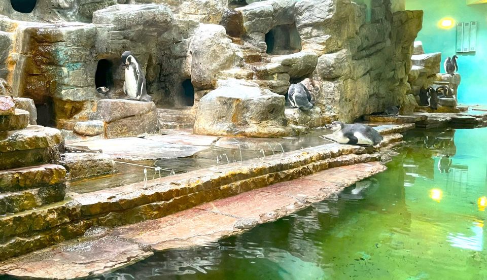 Prague Zoo Online Audio Guide (No ticket) - What you actually pay for: $5 for audio, maps, and direction