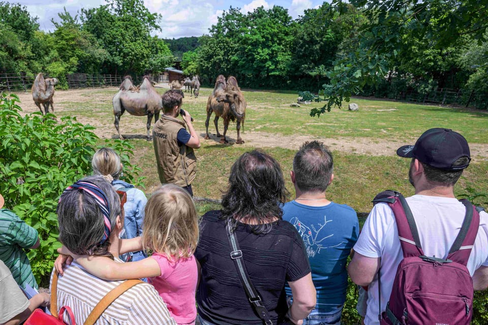 Prague Zoo: Skip-the-Line Entry Ticket - What you’ll see: highlights that match real interests