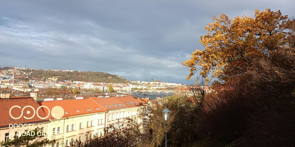Real life in Prague - Easy Walk from Vysehrad to Vyton - Dog time, play breaks, and the do’s-and-don’ts