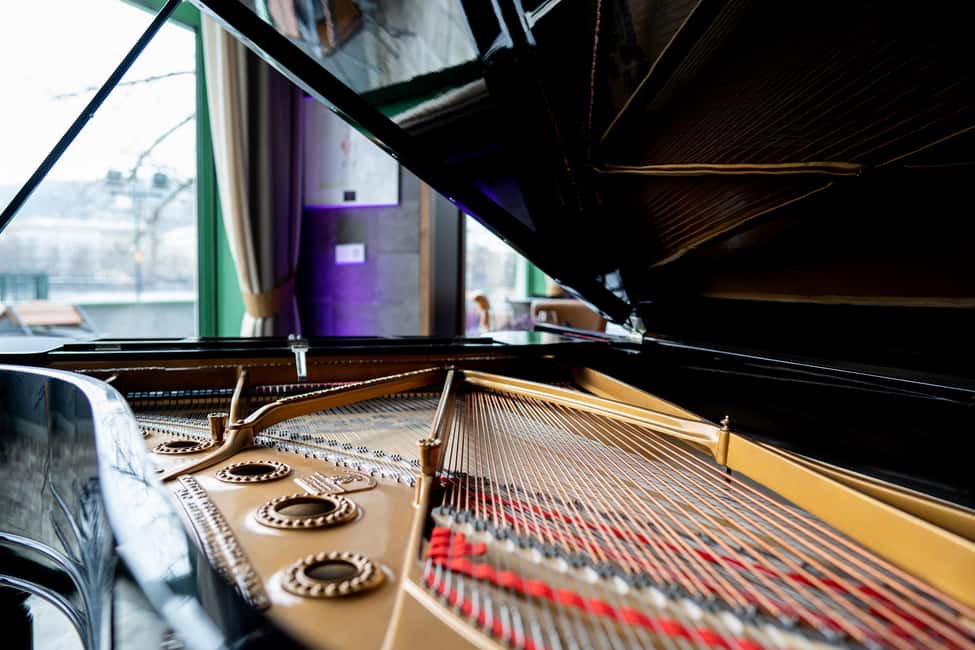Sinatra Tribute. Concert & dinner. - Who This Is Best For (And Who Might Skip It)